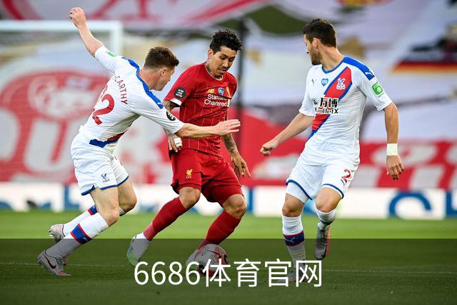 6686体育官网公司简介图片